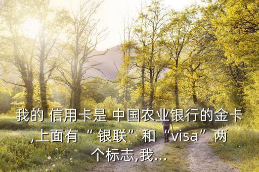 我的 信用卡是 中國農(nóng)業(yè)銀行的金卡,上面有“ 銀聯(lián)”和“visa”兩個標(biāo)志,我...
