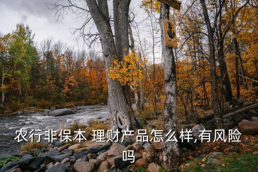 農(nóng)行非保本 理財產(chǎn)品怎么樣,有風(fēng)險嗎
