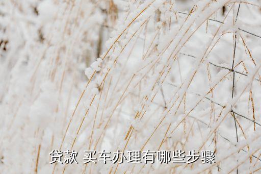  貸款 買(mǎi)車(chē)辦理有哪些步驟