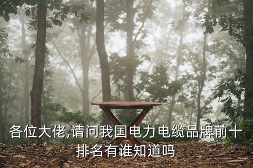 特變電工國(guó)際工程有限公司