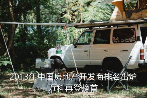 2013年中國(guó)房地產(chǎn)開發(fā)商排名出爐萬(wàn)科再登榜首