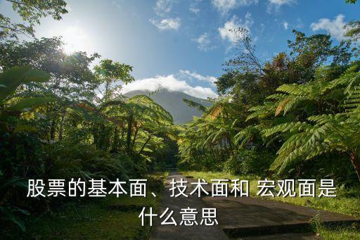  股票的基本面、技術(shù)面和 宏觀(guān)面是什么意思