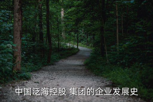 中國(guó)泛?？毓?集團(tuán)的企業(yè)發(fā)展史