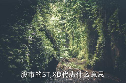 上市公司各種數(shù)據(jù)英文縮寫(xiě)