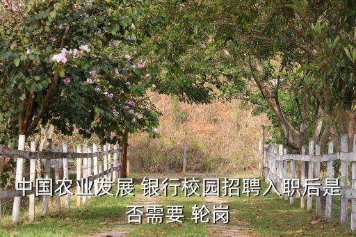 中國農業(yè)發(fā)展 銀行校園招聘入職后是否需要 輪崗