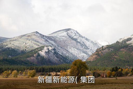 新疆新能源( 集團