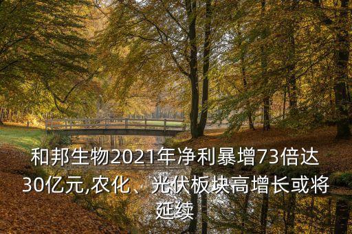 和邦生物2021年凈利暴增73倍達(dá)30億元,農(nóng)化、光伏板塊高增長或?qū)⒀永m(xù)