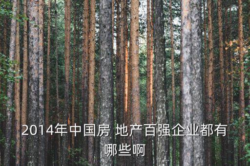 2014年中國房 地產百強企業(yè)都有哪些啊