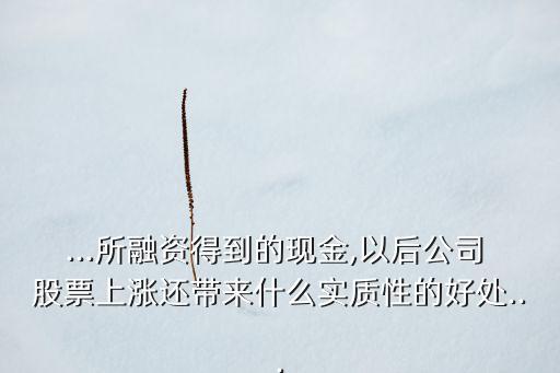 ...所融資得到的現(xiàn)金,以后公司 股票上漲還帶來(lái)什么實(shí)質(zhì)性的好處...