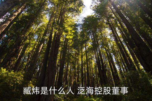 臧煒是什么人 泛?？毓啥? class=