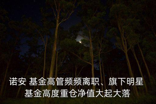 諾安 基金高管頻頻離職、旗下明星 基金高度重倉(cāng)凈值大起大落