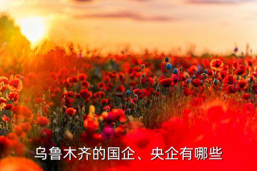 烏魯木齊的國(guó)企、央企有哪些