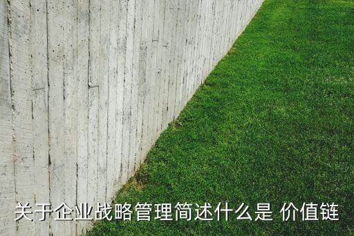 關于企業(yè)戰(zhàn)略管理簡述什么是 價值鏈