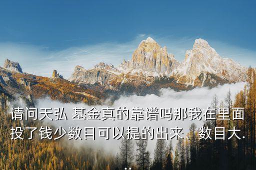 請問天弘 基金真的靠譜嗎那我在里面投了錢少數(shù)目可以提的出來、數(shù)目大...