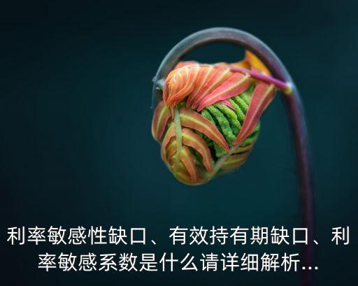 利率敏感性缺口、有效持有期缺口、利率敏感系數(shù)是什么請(qǐng)?jiān)敿?xì)解析...