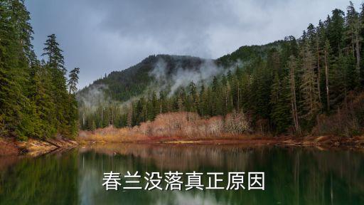  春蘭沒(méi)落真正原因