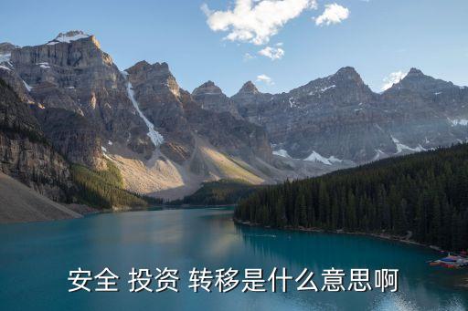 安全 投資 轉移是什么意思啊