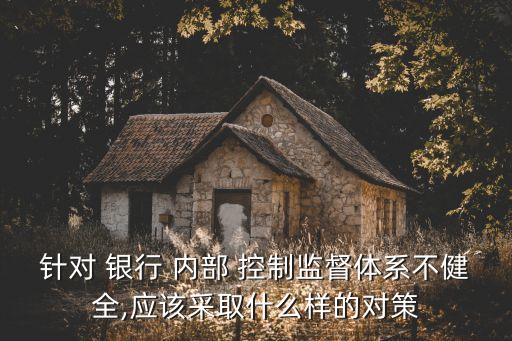 銀行內(nèi)部控制審計問題,上市公司內(nèi)部控制審計報告