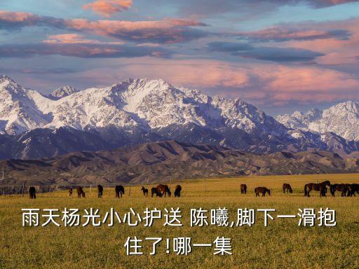 北京人民銀行總行陳曦,人民銀行上?？偛亢捅本┛傂袇^(qū)別