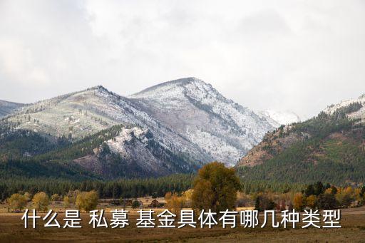 什么是 私募 基金具體有哪幾種類(lèi)型