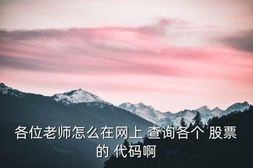 各位老師怎么在網(wǎng)上 查詢(xún)各個(gè) 股票的 代碼啊
