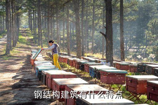 鋼結構建筑有什么特點