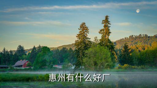 廣東惠州平海發(fā)電廠(chǎng)有限公司