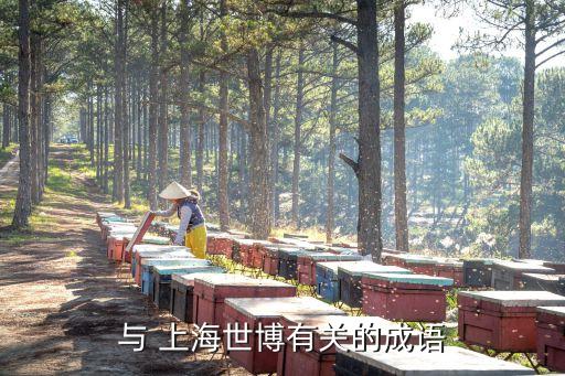 與 上海世博有關的成語