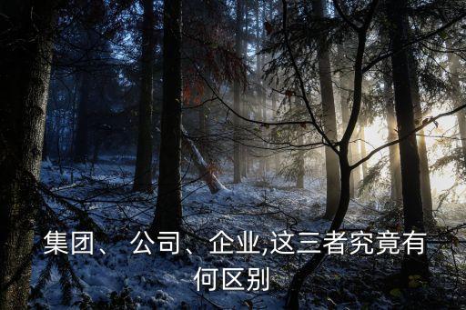  集團、 公司、企業(yè),這三者究竟有何區(qū)別