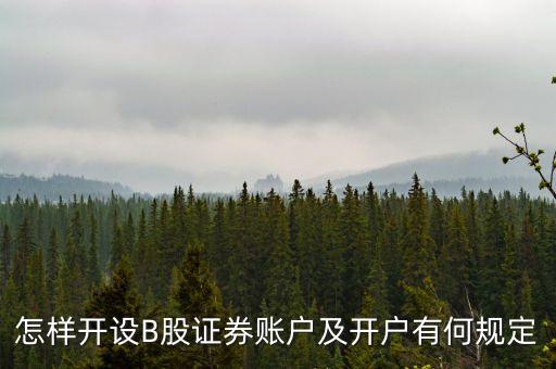 深圳b股的投資,深圳B股怎么買