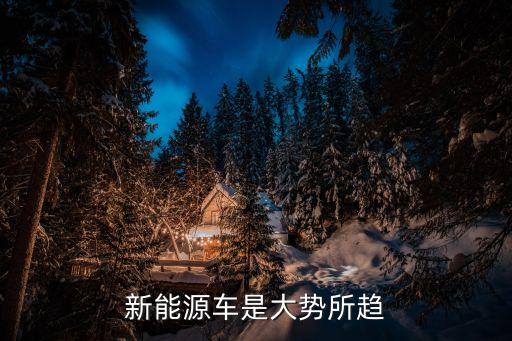 新能源車是大勢(shì)所趨