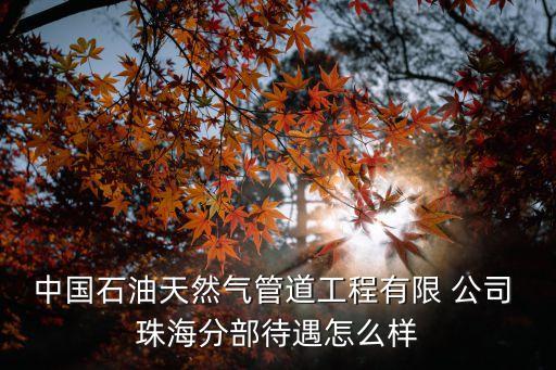 珠海lng公司,珠海LNG公司QHSE目標是