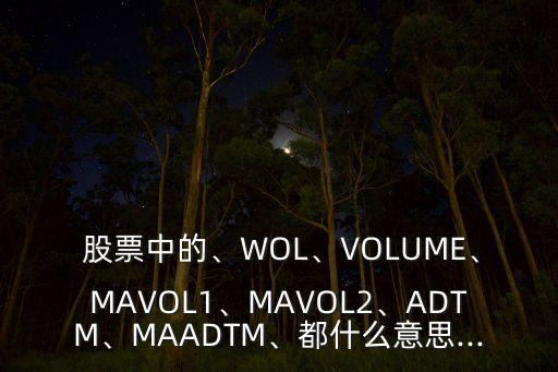  股票中的、WOL、VOLUME、MAVOL1、MAVOL2、ADTM、MAADTM、都什么意思...