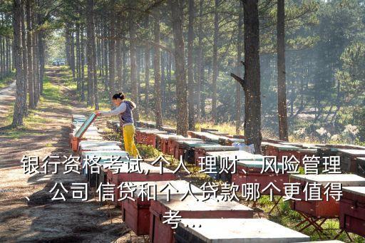 銀行資格考試,個(gè)人 理財(cái)、風(fēng)險(xiǎn)管理、 公司 信貸和個(gè)人貸款哪個(gè)更值得考...