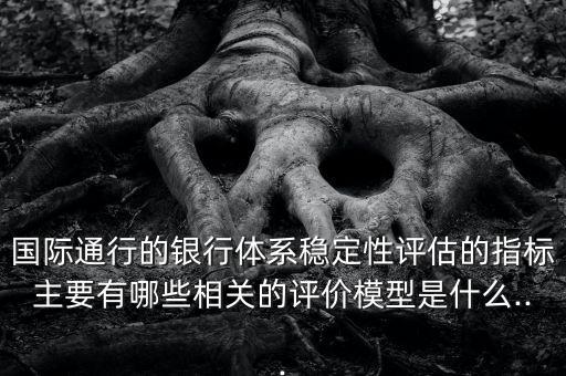 國際通行的銀行體系穩(wěn)定性評估的指標主要有哪些相關的評價模型是什么...