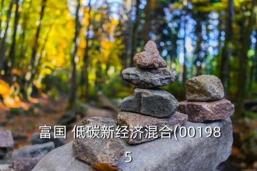 富國低碳環(huán)保基金吧,富國碳中和基金