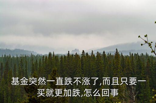  基金突然一直跌不漲了,而且只要一買(mǎi)就更加跌,怎么回事