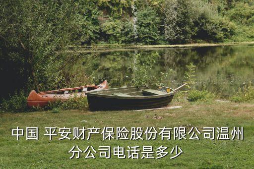 中國(guó) 平安財(cái)產(chǎn)保險(xiǎn)股份有限公司溫州分公司電話(huà)是多少