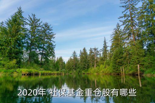 2020年 社?；鹬貍}股有哪些