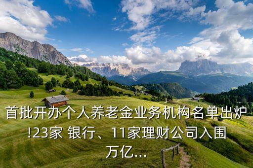 首批開辦個人養(yǎng)老金業(yè)務(wù)機(jī)構(gòu)名單出爐!23家 銀行、11家理財(cái)公司入圍萬億...