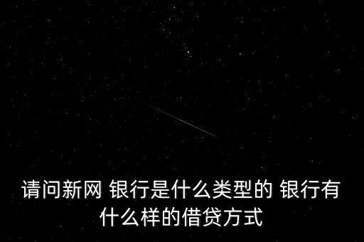 請問新網 銀行是什么類型的 銀行有什么樣的借貸方式