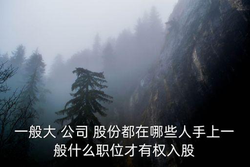 一般大 公司 股份都在哪些人手上一般什么職位才有權入股