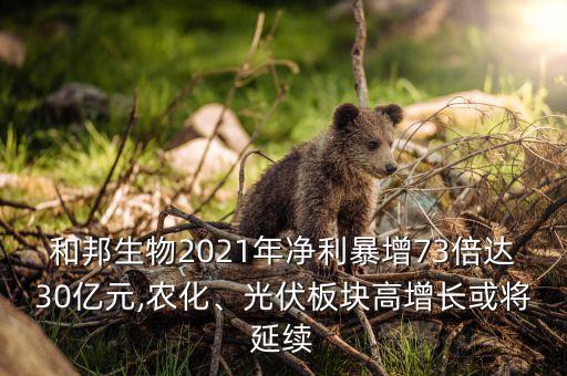和邦生物2021年凈利暴增73倍達30億元,農化、光伏板塊高增長或將延續(xù)