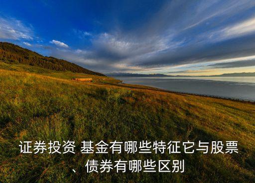那些是有關證券的基金