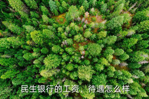  民生銀行的工資、待遇怎么樣