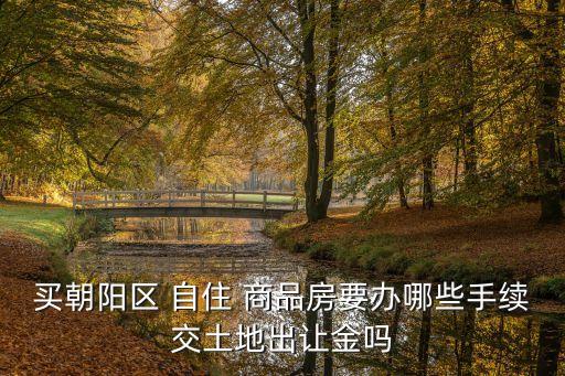 買朝陽(yáng)區(qū) 自住 商品房要辦哪些手續(xù)交土地出讓金嗎