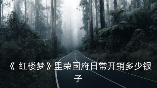 《 紅樓夢(mèng)》里榮國(guó)府日常開(kāi)銷(xiāo)多少銀子