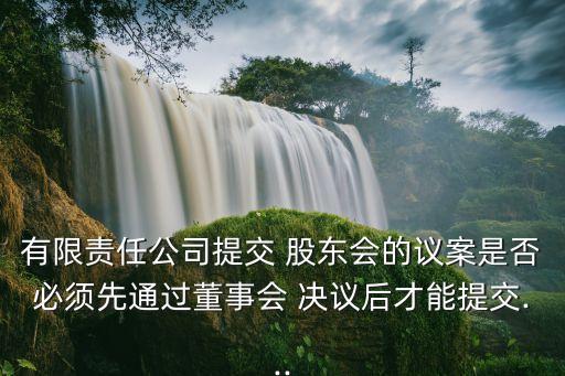 有限責(zé)任公司提交 股東會的議案是否必須先通過董事會 決議后才能提交...