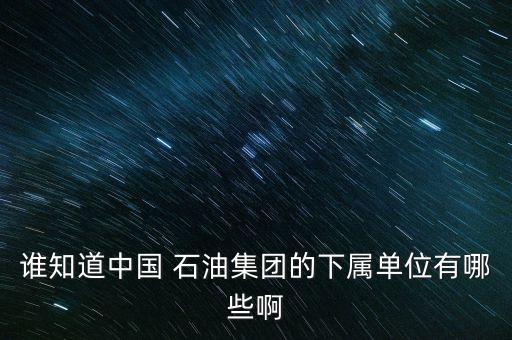 誰(shuí)知道中國(guó) 石油集團(tuán)的下屬單位有哪些啊