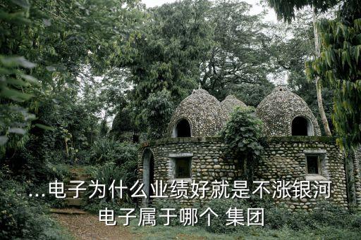 ...電子為什么業(yè)績好就是不漲銀河電子屬于哪個 集團(tuán)